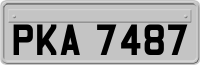 PKA7487
