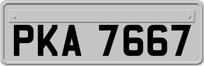 PKA7667