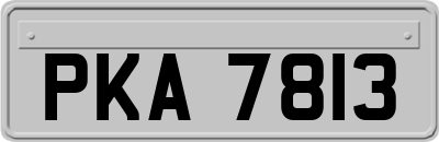 PKA7813