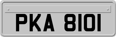 PKA8101