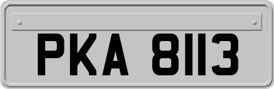 PKA8113