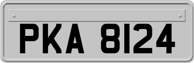 PKA8124