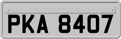 PKA8407