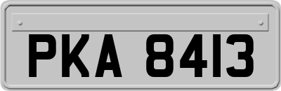 PKA8413