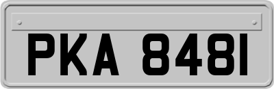 PKA8481