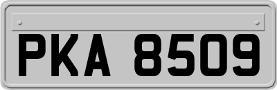 PKA8509