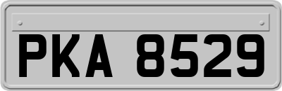 PKA8529
