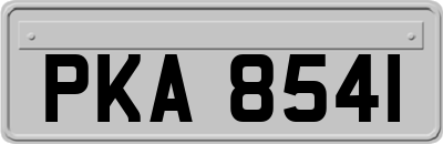 PKA8541