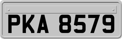 PKA8579