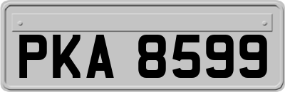 PKA8599