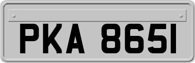PKA8651