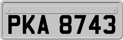 PKA8743