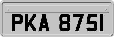 PKA8751