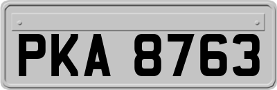 PKA8763