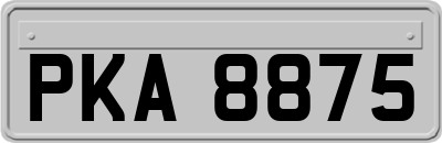 PKA8875