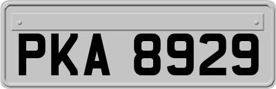 PKA8929