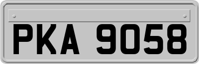 PKA9058