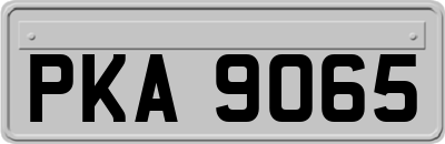 PKA9065