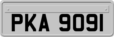 PKA9091