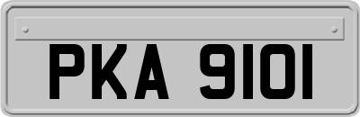 PKA9101