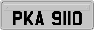 PKA9110