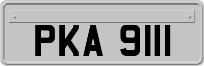 PKA9111