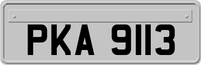 PKA9113
