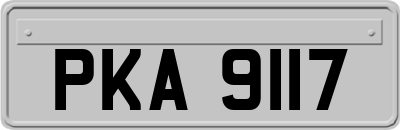PKA9117