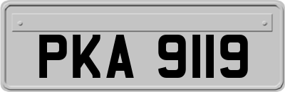 PKA9119