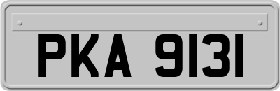 PKA9131
