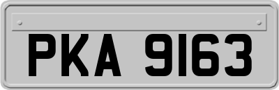 PKA9163