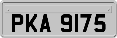 PKA9175