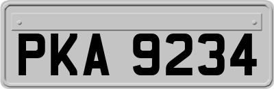 PKA9234