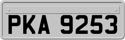 PKA9253