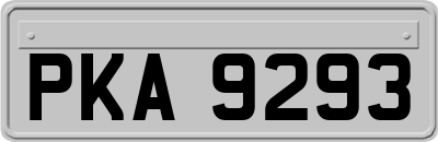 PKA9293