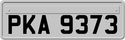 PKA9373