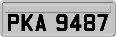PKA9487