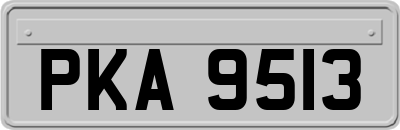 PKA9513