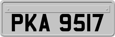 PKA9517