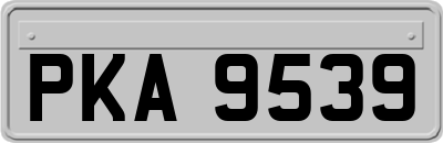 PKA9539