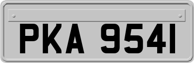 PKA9541