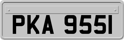 PKA9551