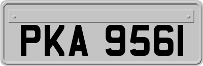 PKA9561