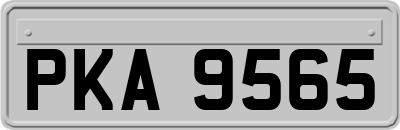 PKA9565
