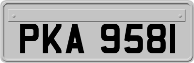 PKA9581