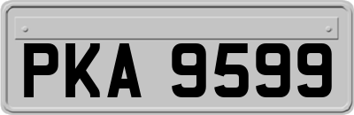 PKA9599