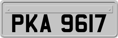 PKA9617