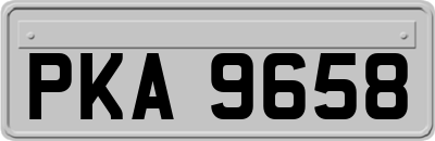 PKA9658