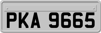 PKA9665