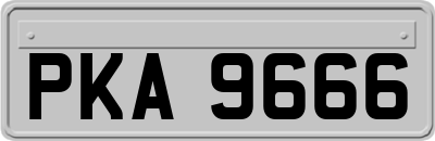 PKA9666